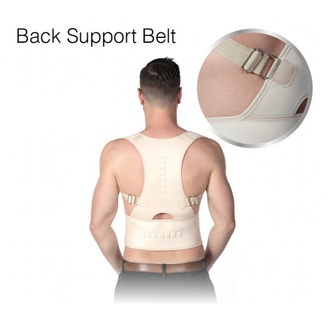 Back Support Belt L-xl